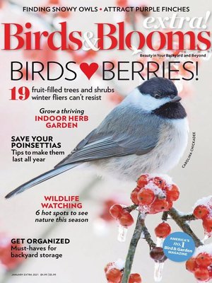 cover image of Birds and Blooms Extra